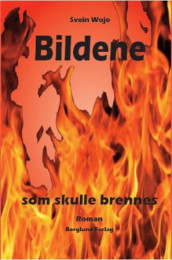 Bildene som skulle brennes av Svein Woje (Innbundet)