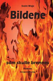 Bildene som skulle brennes av Svein Woje (Ebok)