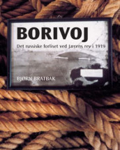 Borivoj av Bjørn Bratbak (Innbundet)