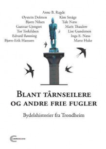 Blant tårnseilere og andre frie fugler av Sverre M. Nyrønning (Innbundet)