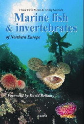 Marine fish and invertebrates of Northern Europe av Frank Emil Moen (Innbundet)