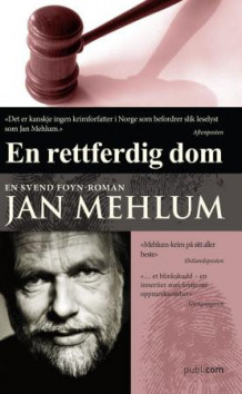 En rettferdig dom av Jan Mehlum (Ebok)