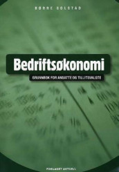 Bedriftsøkonomi av Børre Solstad (Heftet)