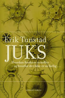 Juks av Erik Tunstad (Innbundet)