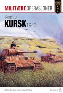 Slaget om Kursk 1943 av Mark Healy (Heftet)