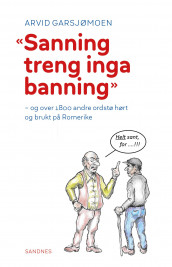 Sanning treng inga banning av Arvid Garsjømoen (Innbundet)