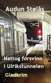 Nattog forsvinn i Ulrikstunnelen av Audun Stølås (Ebok)