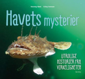 Havets mysterier av Erling Svensen (Innbundet)