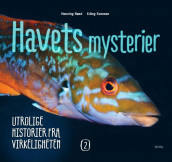 Havets mysterier 2 av Henning Røed (Innbundet)