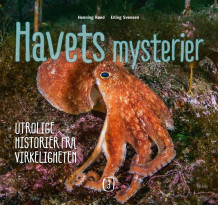 Havets mysterier 3 av Henning Røed (Innbundet)