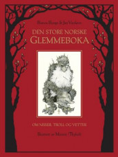 Den store norske glemmeboka av Bianca Boege og Jan Vardøen (Innbundet)