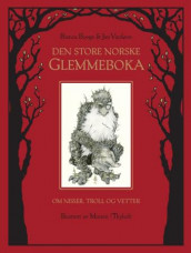 Den store norske glemmeboka av Bianca Boege og Jan Vardøen (Innbundet)