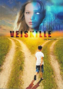 Veiskille av Jan Barstad (Heftet)