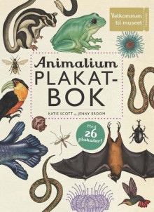 Animalium plakatbok av Jenny Broom og Katie Scott (Innbundet)