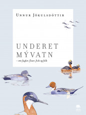 Underet M.vatn av Unnur Jökulsdóttir (Heftet)