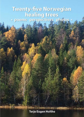 Twenty-five Norwegian healing trees av Terje Eugen Holthe (Ebok)