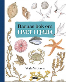 Barnas bok om livet i fjæra av Vesla Vetlesen (Innbundet)