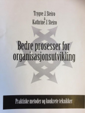 Bedre prosesser for organisasjonsutvikling av Kathrine J. Steiro og Trygve J. Steiro (Heftet)