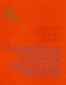Eva Bull Holte ; Ubestemt abstrakt følelse av Erlend Hammer, Knut Ljøgodt, Ida Bringedal, Frida Forsgren, Erlend Hammer og Knut Ljøgodt (Innbundet)