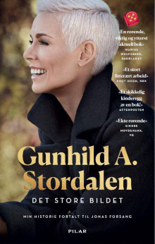 Det store bildet av Gunhild A. Stordalen og Jonas Forsang (Heftet)