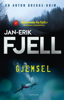 Gjemsel av Jan-Erik Fjell (Innbundet)