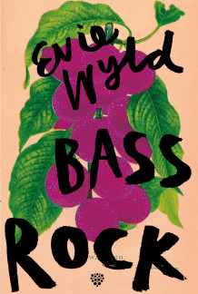 Bass Rock av Evie Wyld (Innbundet)