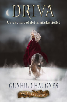 Driva av Gunhild M. Haugnes (Innbundet)