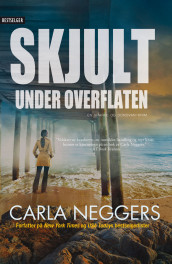 Skjult under overflaten av Carla Neggers (Ebok)