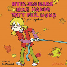 Hvis jeg bare ikke hadde tatt feil hund av Ingelin Angerborn (Lydbok-CD)