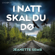I natt skal du dø av Jeanette Semb (Nedlastbar lydbok)