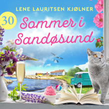 Sommer i Sandøsund - luke 30 av Lene Lauritsen Kjølner (Nedlastbar lydbok)