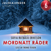 Mordnatt råder - luke 6 av Sofia Rutbäck Eriksson (Nedlastbar lydbok)