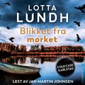 Blikket fra mørket av Lotta Lundh (Nedlastbar lydbok)