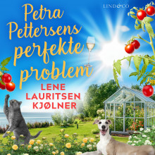 Petra Pettersens perfekte problem av Lene Lauritsen Kjølner (Nedlastbar lydbok)