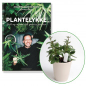 Omslag - Plantelykke – Stell og innred med grønne planter + vanningsvarsler